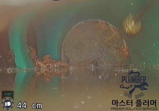 성동구 아파트 우수관 막힘 — 내시경으로 확인하며 남은 뿌리 제거