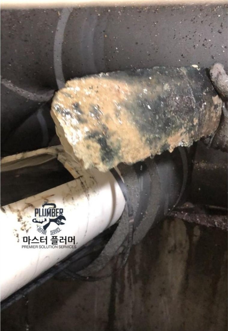 2021년 — 횡주관에서 나온 시멘트 조각
